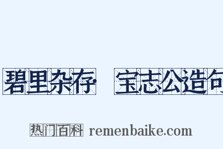 碧里杂存·宝志公造句是什么意思的图片